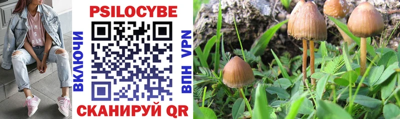 Галлюциногенные грибы MAGIC MUSHROOMS  Купить  Верхнеуральск 
